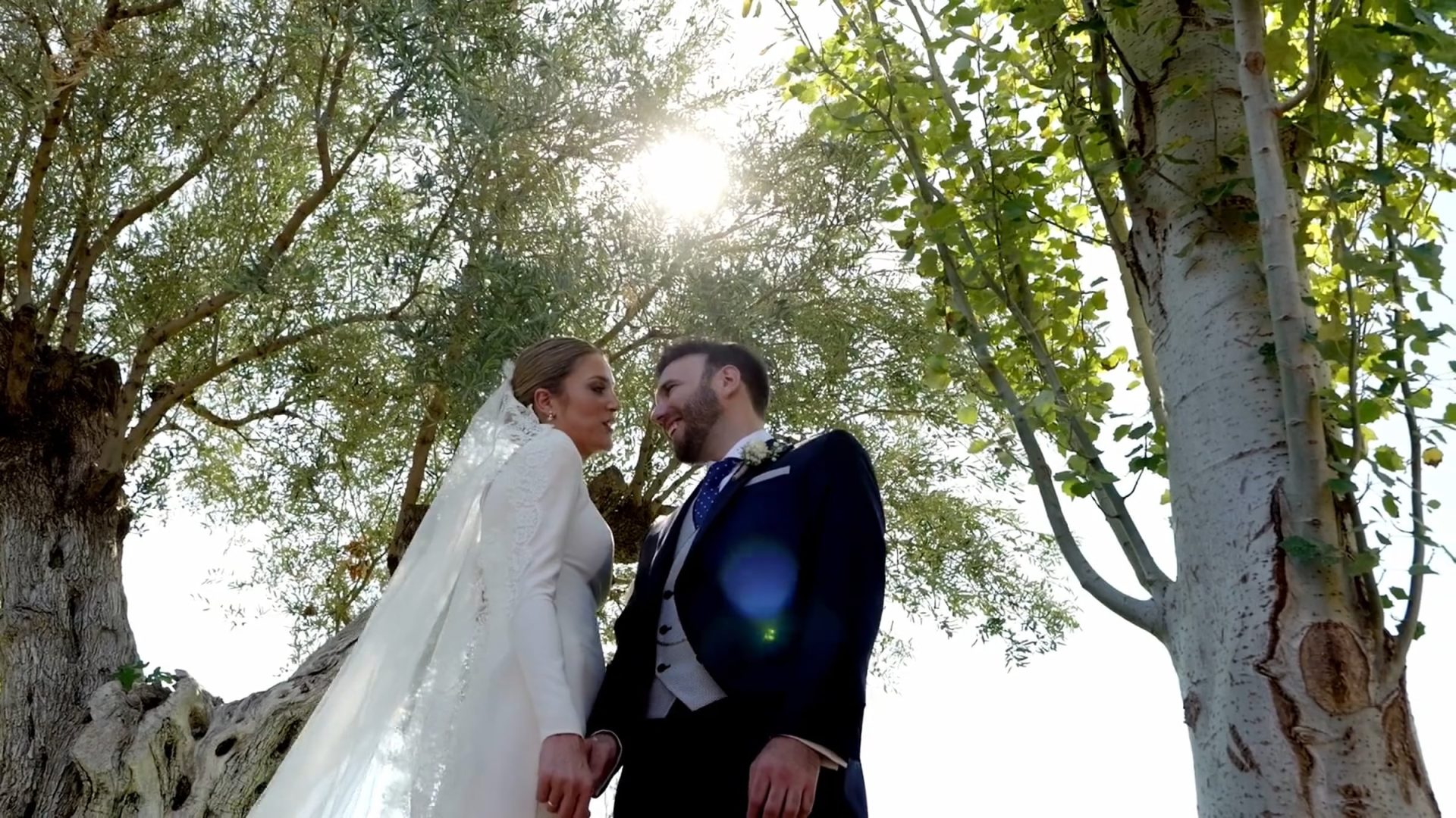 Pareja de novios vestida de boda bajo un árbol con luz solar al fondo